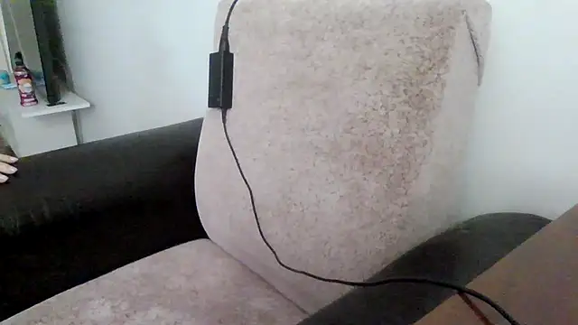 Lorinama webcam