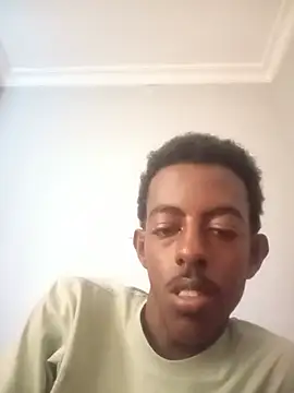 Yabuesatu webcam