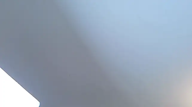 lanemugler webcam