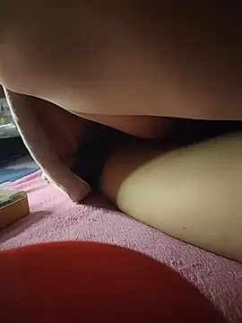 -Tara-a webcam