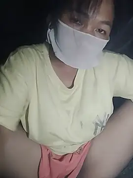 Hiha-nn webcam
