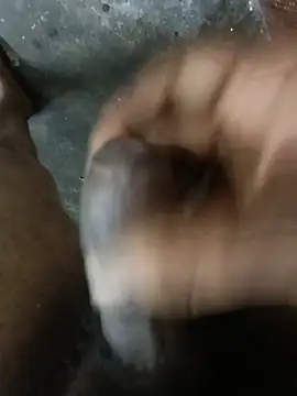 blackchocolateforest webcam