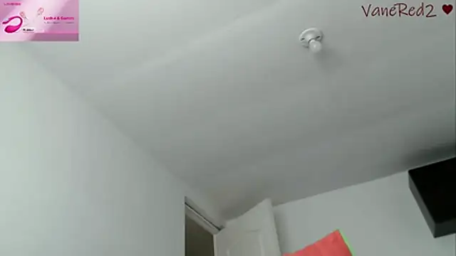 vanered2 webcam