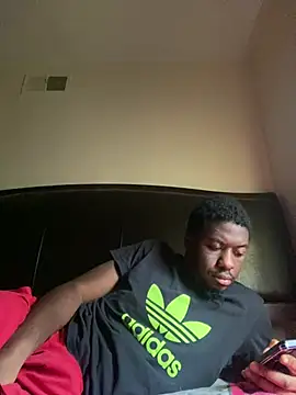 ThickDic28 webcam