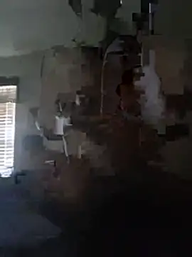 Willybigcock1981 webcam