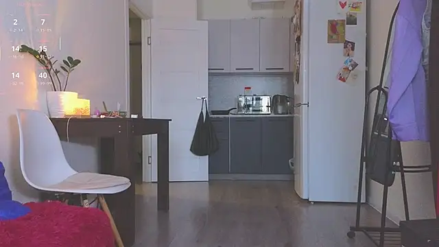 Sereta_Finn webcam
