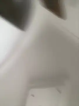MonicaMorbida webcam