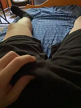 Dvddd webcam