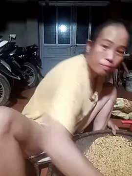 phuongtrinh1 webcam