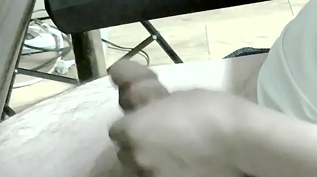 mintw824 webcam