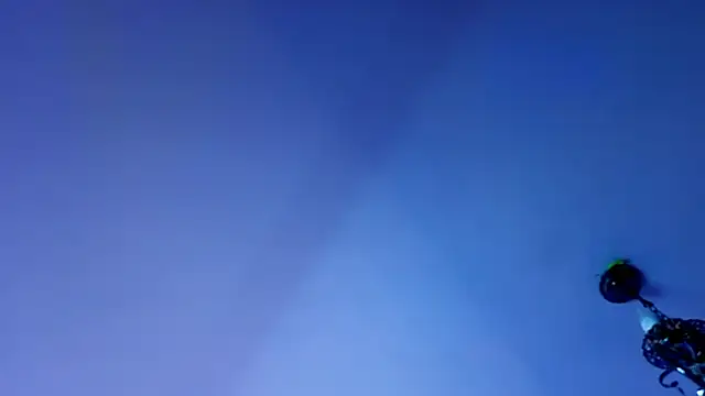 Yan_Cat webcam