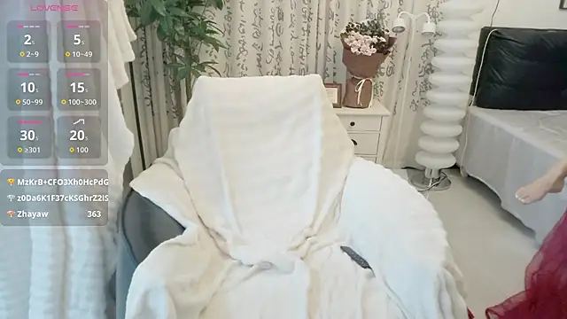 LIN-AN webcam
