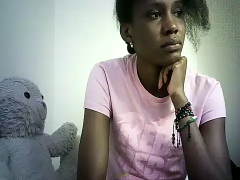 DelteAfriq webcam
