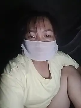 Hiha-nn webcam