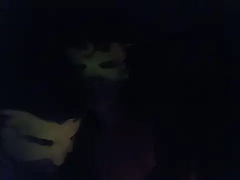 babydollsexxy1 webcam