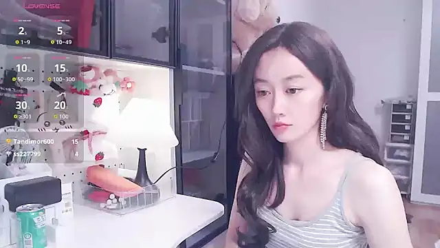 Elina-e3 webcam
