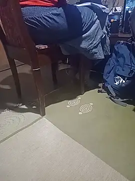 WiseDi webcam