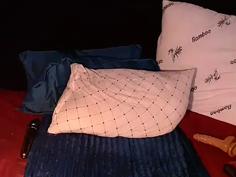 BaselBlues webcam