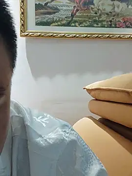 guozuo webcam