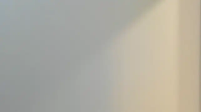 ailey_chao webcam