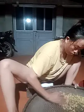 phuongtrinh1 webcam