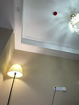 pupu_ webcam