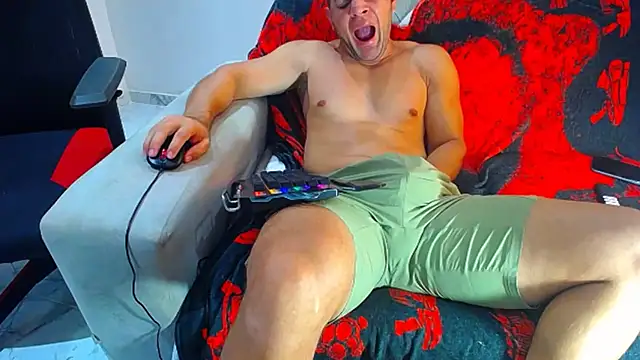 hugo_19cm webcam