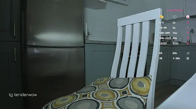 Tenderalise webcam