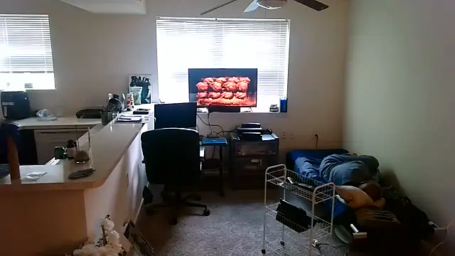 Q1357q webcam