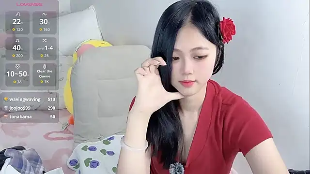 Noelle-2007 webcam