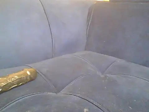 bwonkara webcam