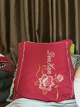Bina688 webcam