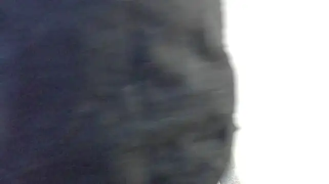 ailey_chao webcam