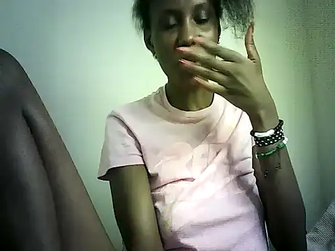 DelteAfriq webcam