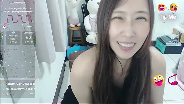 aFanny webcam