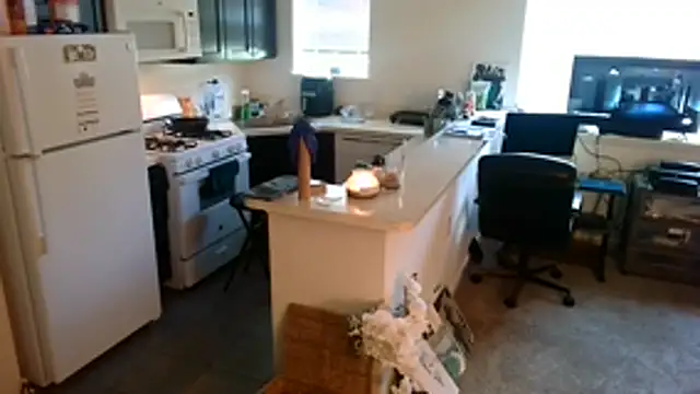 Q1357q webcam