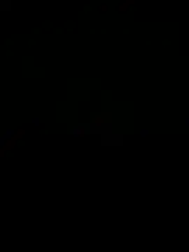Dogchal webcam