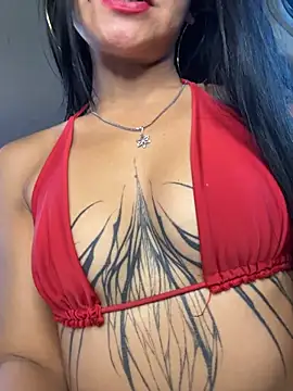 Dakota-fire webcam