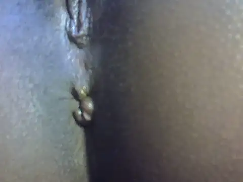 Spicybobolishia_ webcam