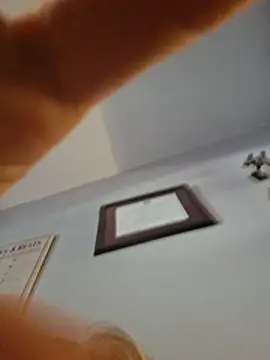 Cooper_Bandit2 webcam