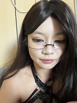 MeimoDog webcam