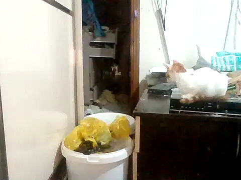kubilay1068 webcam