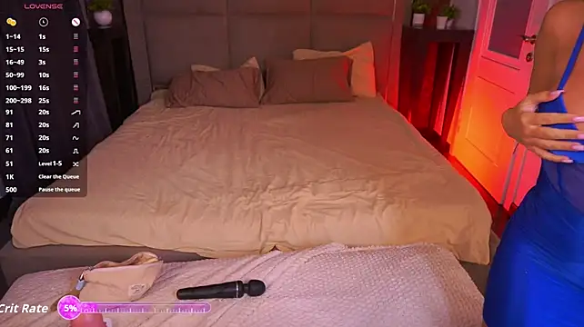 MadissonSoft webcam