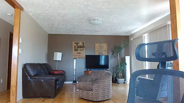 BasicAnt webcam