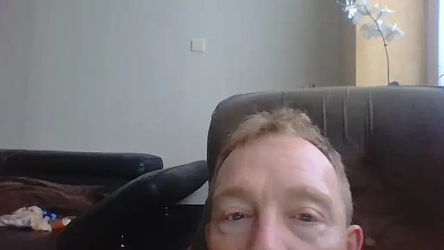 bertolini webcam