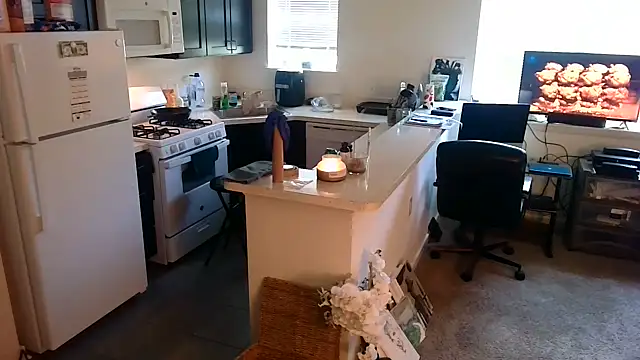 Q1357q webcam