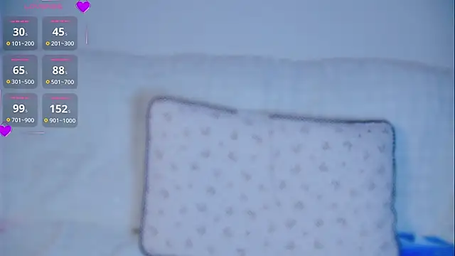 hyp0crite webcam