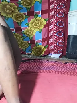 PRIYAGOYAL webcam