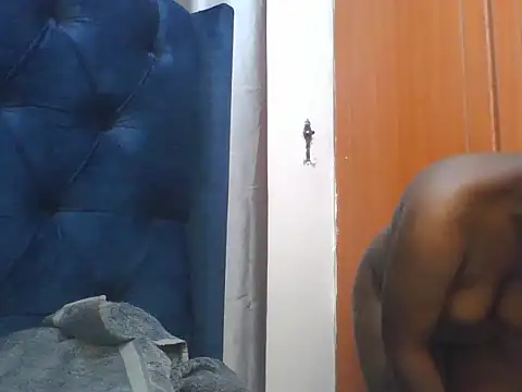 Barionett webcam