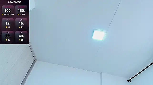 Samyq8 webcam